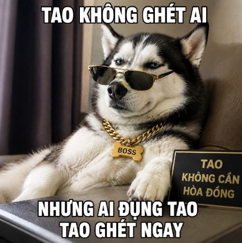 Tổng hợp meme Husky, chú chó ngáo biểu cảm cực bá đạo và hài