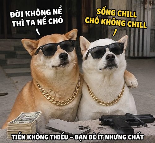 Loạt meme 2 con chó 3 con chó biểu cảm bá đạo cực hài