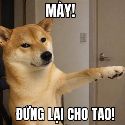 Loạt meme con chó chỉ tay biểu cảm bá đạo cực hài