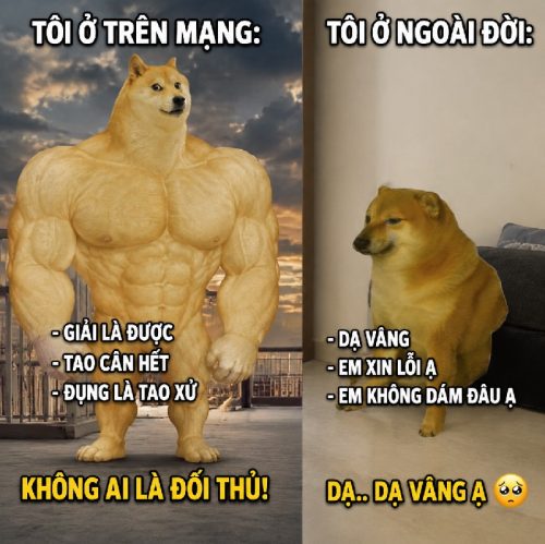 Loạt meme chó cơ bắp biểu cảm ngầu lòi cực bá đạo