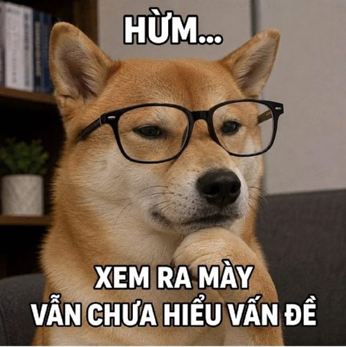 Tuyển tập meme chó đeo kính biểu cảm chất lừ cực hài