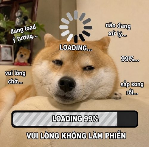 Tổng hợp meme chó loading, lag biểu cảm đơ cực hài