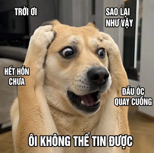 Loạt meme con chó ôm đầu biểu cảm bá đạo cực hài