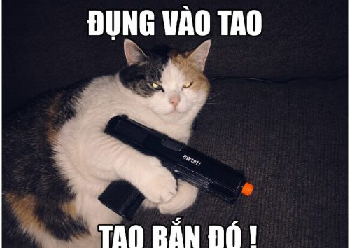 Tổng hợp meme mèo cầm súng cực ngầu và bá đạo