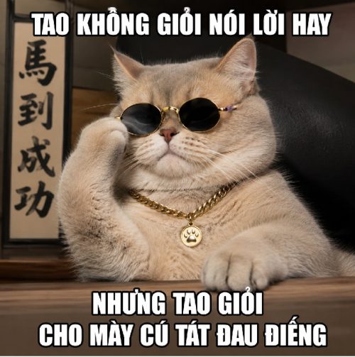 Bộ ảnh meme mèo đeo kính biểu cảm ngầu lòi cực hài