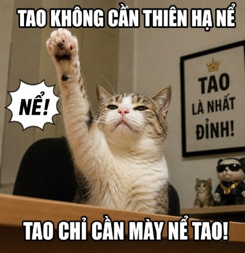 Loạt meme mèo giơ tay biểu cảm bá đạo cực bựa và hài