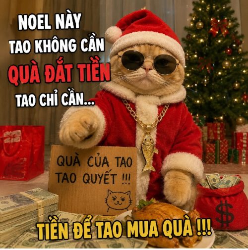 Kho ảnh meme mèo noel cute biểu cảm cực đáng yêu
