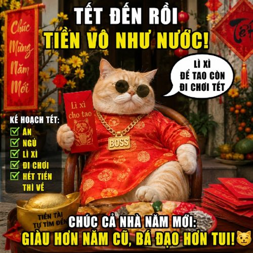 Bộ ảnh meme mèo Tết cute biểu cảm rực rỡ cực hài