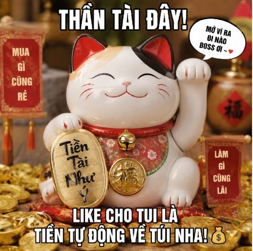 Tuyển tập mèo thần tài meme biểu cảm may mắn cực hài