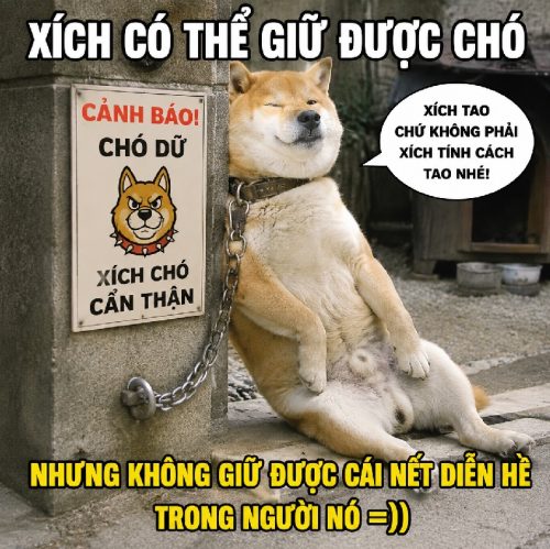 Bộ ảnh meme xích chó biểu cảm bá đạo cực hài hước