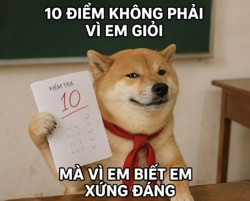 10 điểm meme – Tuyển tập những khoảnh khắc hài hước nhất
