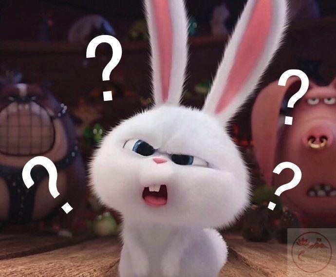 Thỏ Snowball meme