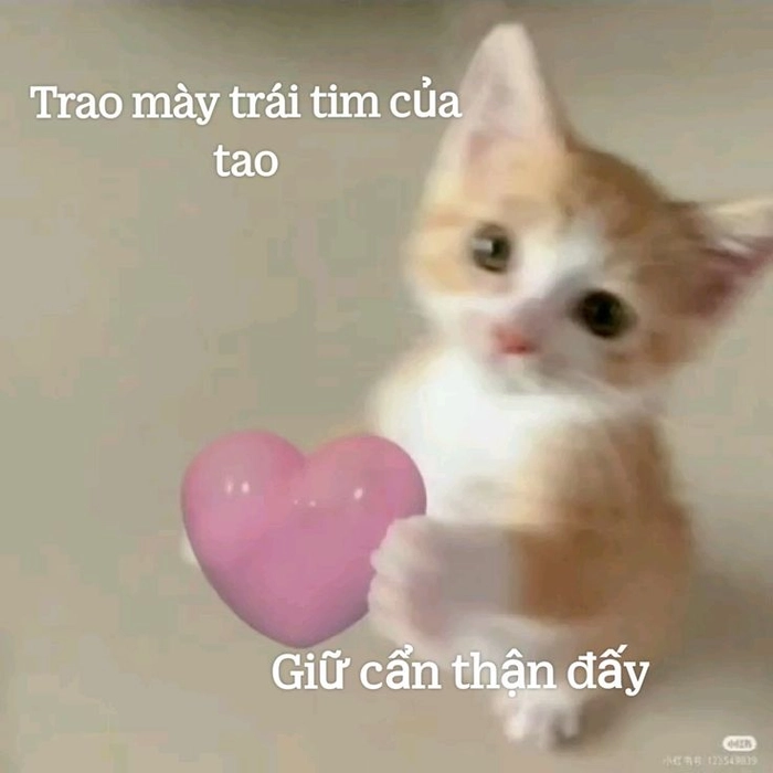 Meme gấu trúc bắn tim tạo tiếng cười