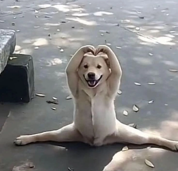 Meme thả tim cute đúng gu cộng đồng