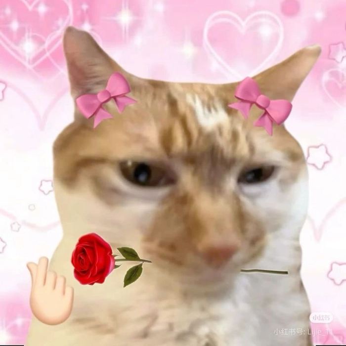 Thả tim meme mang vibe tích cực