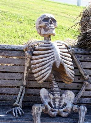 Skeleton meme - Bộ ảnh chế chờ đợi siêu hài bá đạo nhất 5 Waiting Skeleton Meme Generator - Imgflip