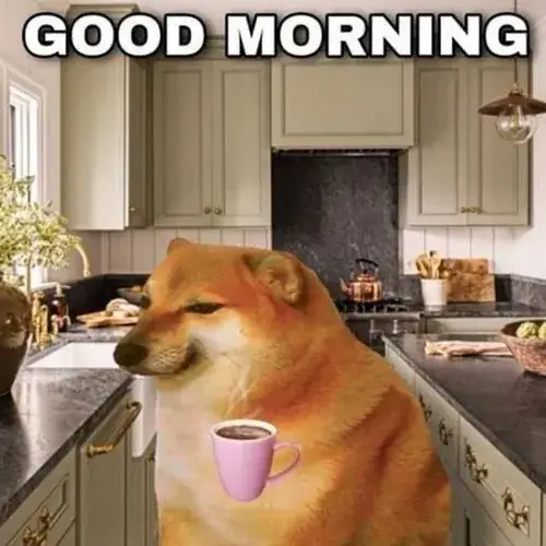 Ảnh vui chú chó vẫy tay kèm chữ “good morning bạn hiền”