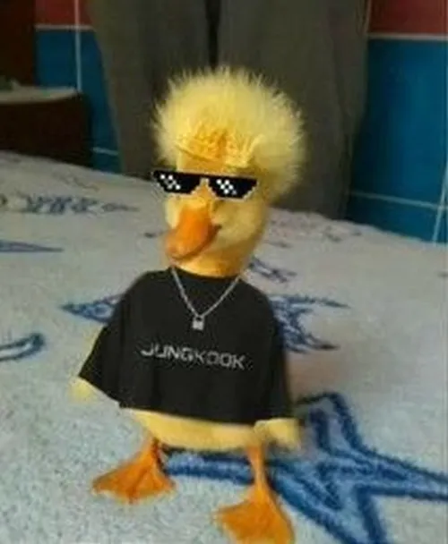 Meme con vịt siêu ngầu với mỏ trề.