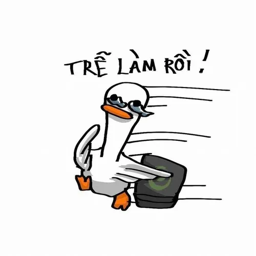 Hình troll vịt đơ mà đáng yêu lắm.