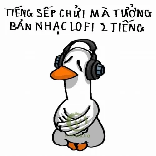 Khi con vịt trở thành biểu tượng hài mới của Facebook