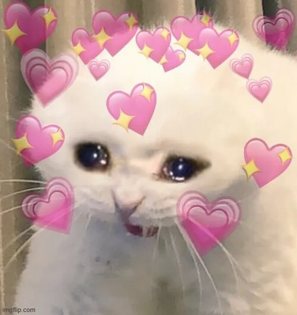 Meme tình yêu lúc giận lúc thương