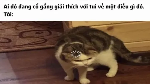 77