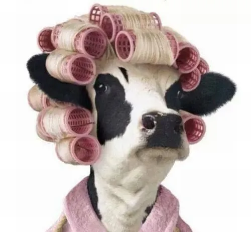 56