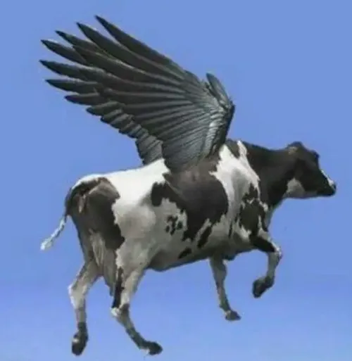68