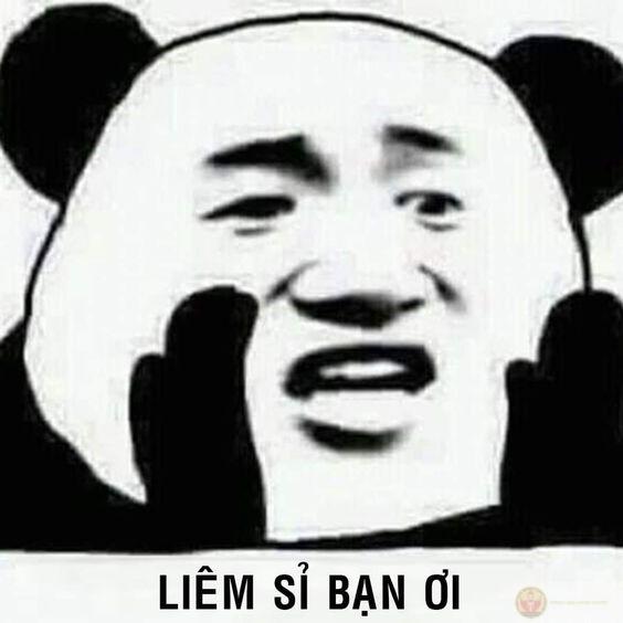 Full meme gấu trúc cực bựa troll face weibo Trung Quốc