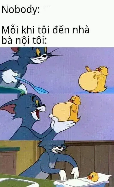 204