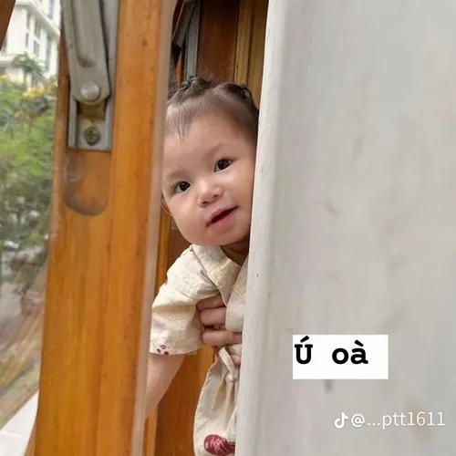 Meme xin chào đáng yêu lắm nha