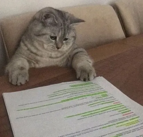 Meme học nhồi nhét gấp trước kiểm tra vì đề mẫu quá dài