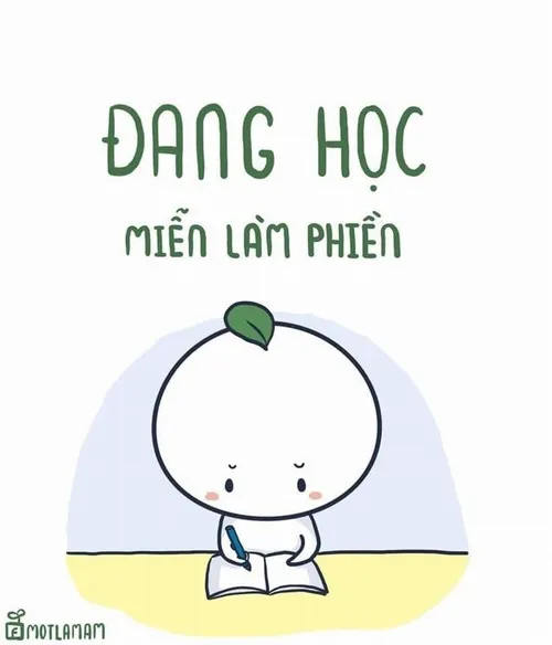 60 Meme Học Bài, Lo Học Đi hài hước phơi bày cảnh ôn thi đầy căng não