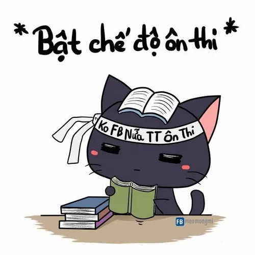 Ảnh mèo trau dồi kiến thức trong lớp học cực ồn