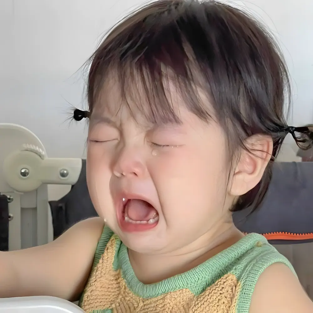 Khóc meme vì công việc nhiều hơn thời gian nghỉ.