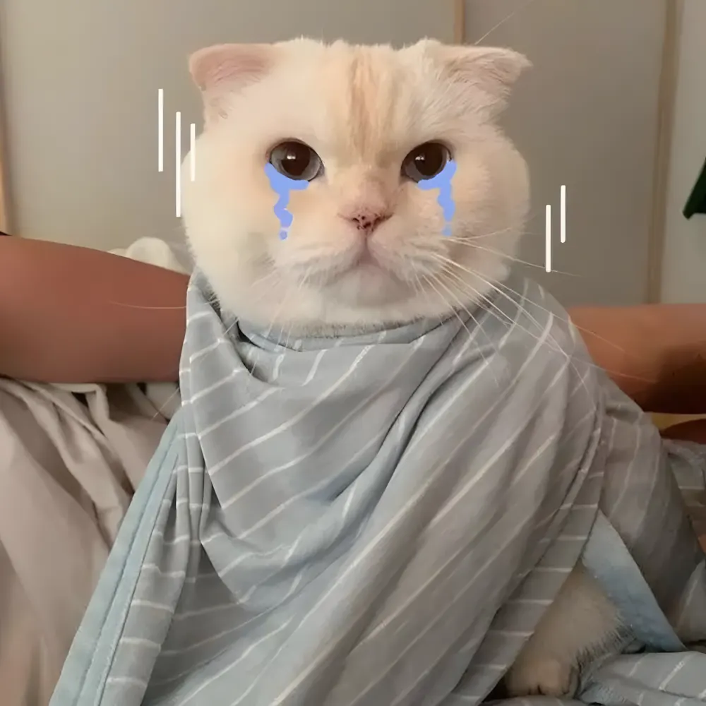 Khóc meme khi mở tủ lạnh mà chẳng còn gì ăn.