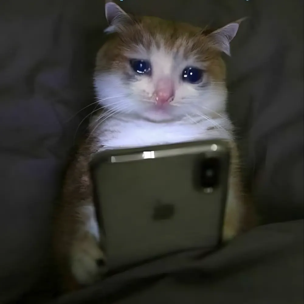 Meme cười khóc vì những lời hứa chưa từng thành thật.
