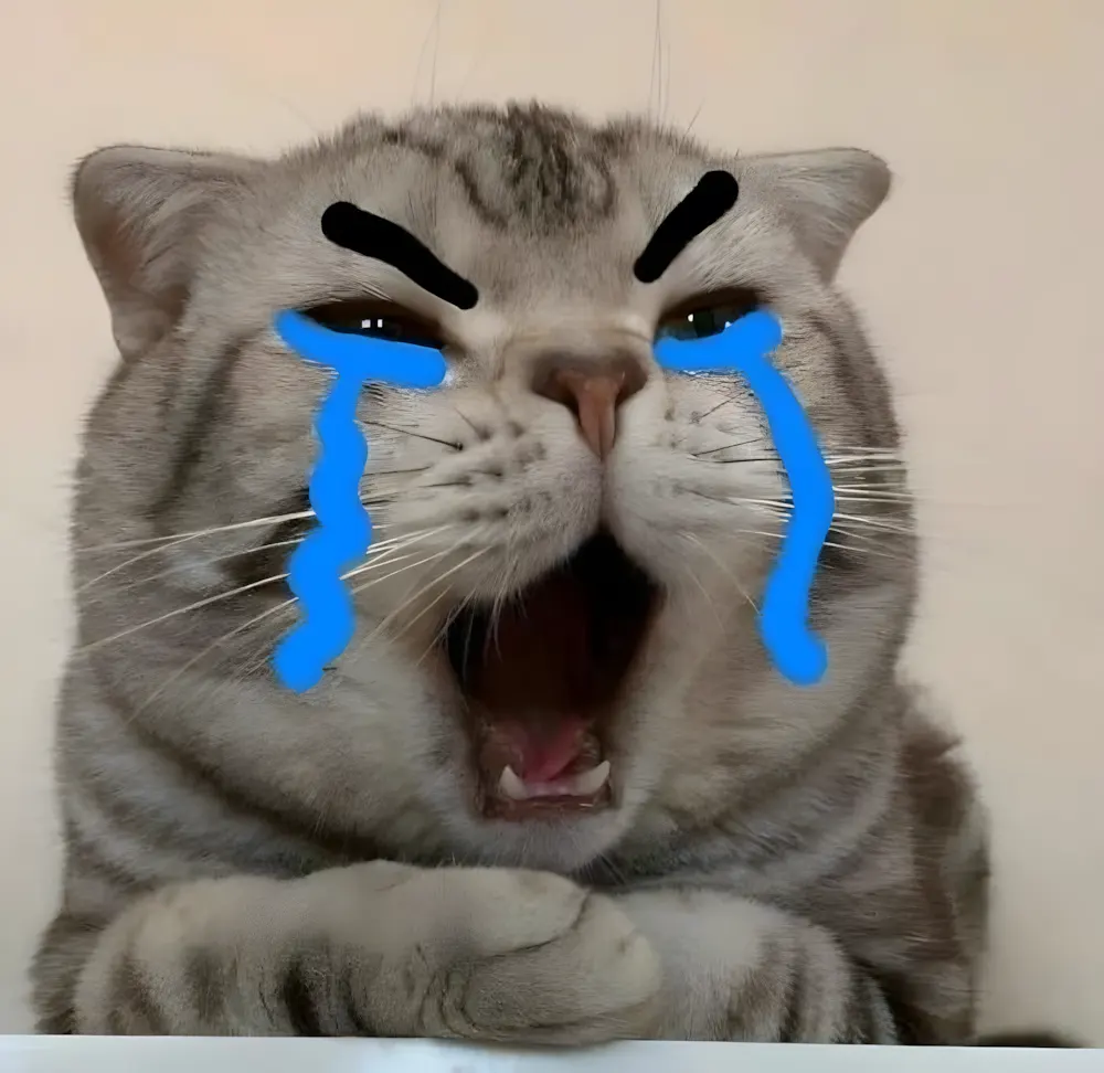 Meme khóc thét khi quên lưu file trước giờ nộp.