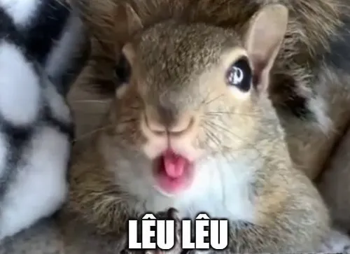 Story » Sưu tầm Ảnh Meme Lêu Lêu lan truyền mạnh với biểu cảm trêu cực chất