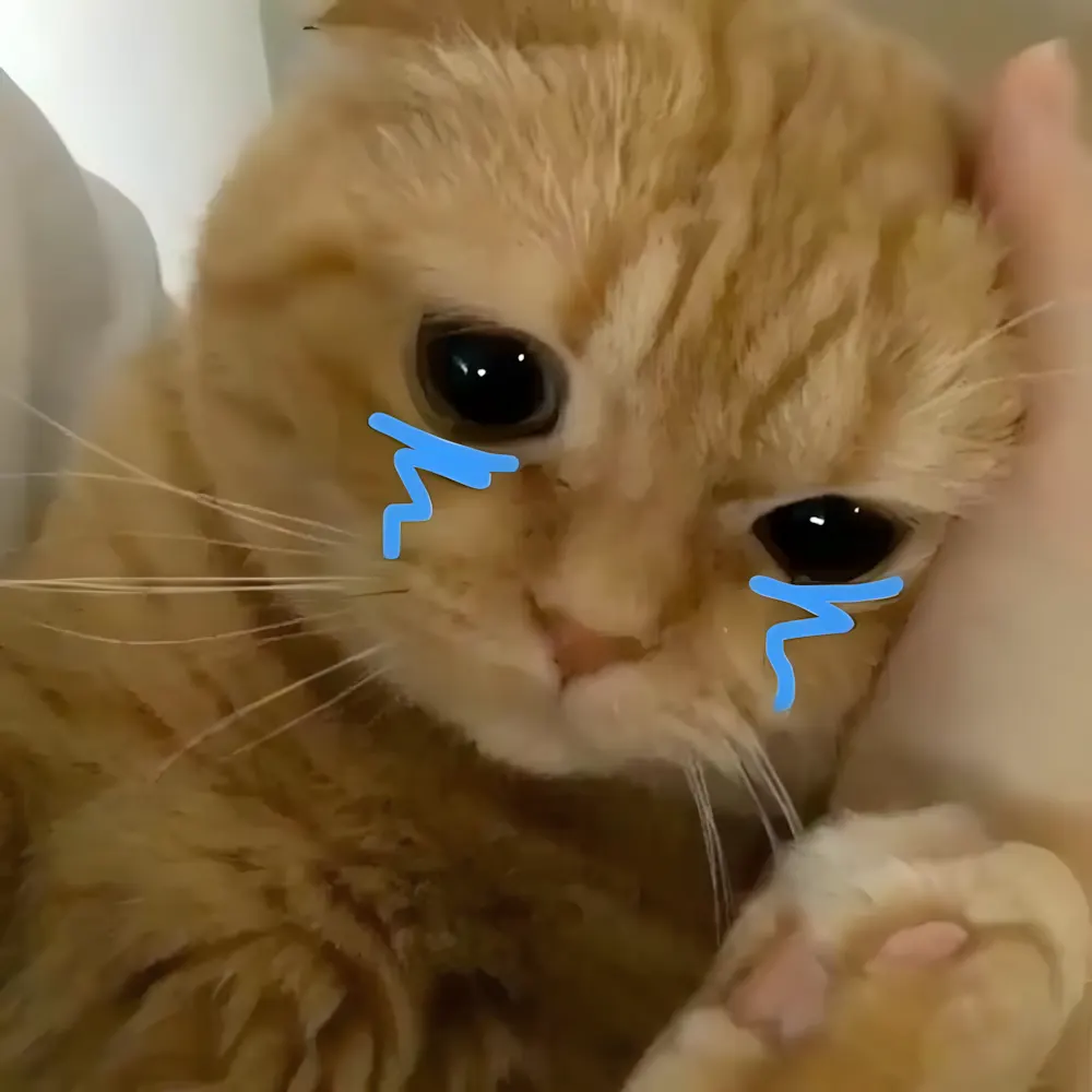 Ảnh meme khóc dành cho những ngày vận xui ghé thăm.
