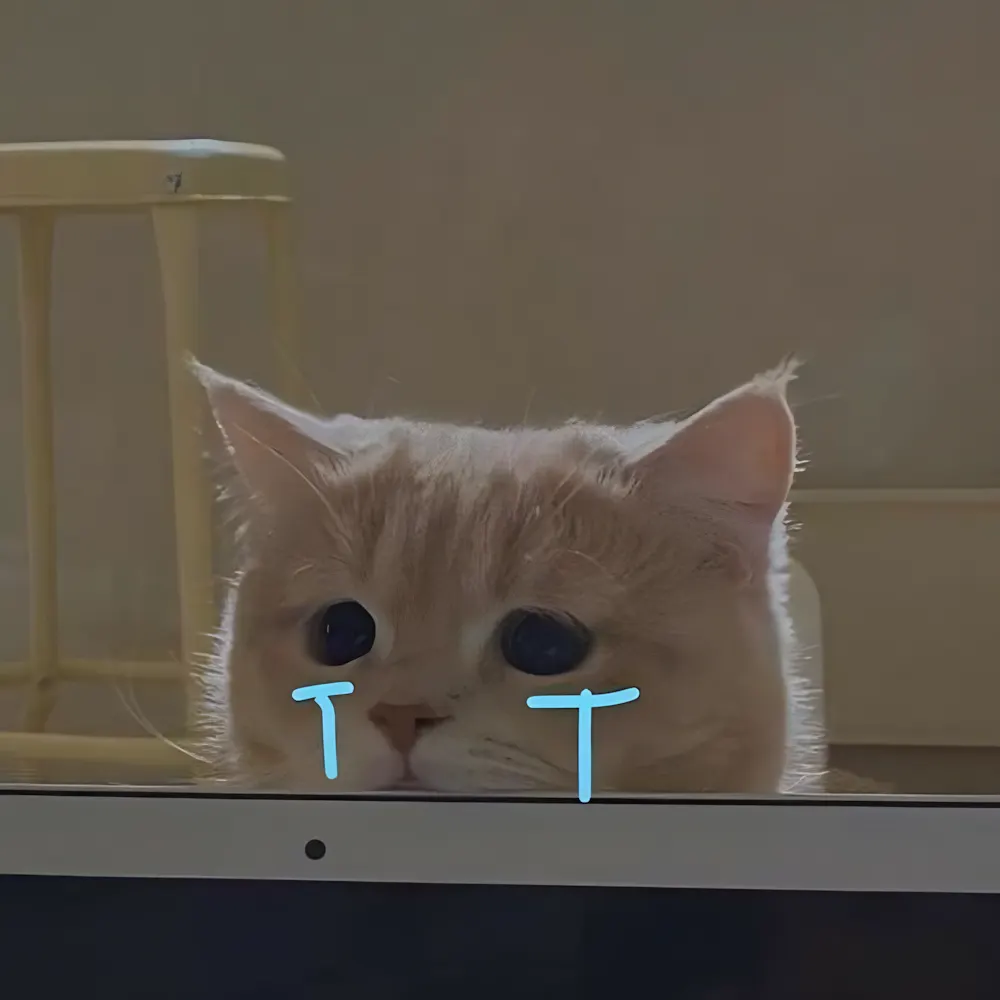 Meme khóc thét vì lương chưa kịp nóng đã bay.