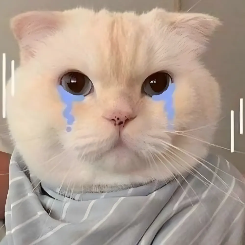 Ảnh khóc meme chuẩn tâm trạng cuối tháng hết tiền.