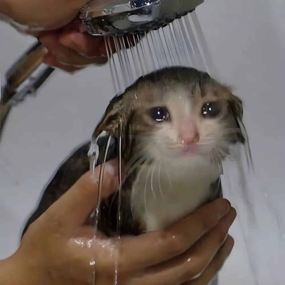 Huhu meme khi người yêu rep tin nhắn bằng dấu chấm.