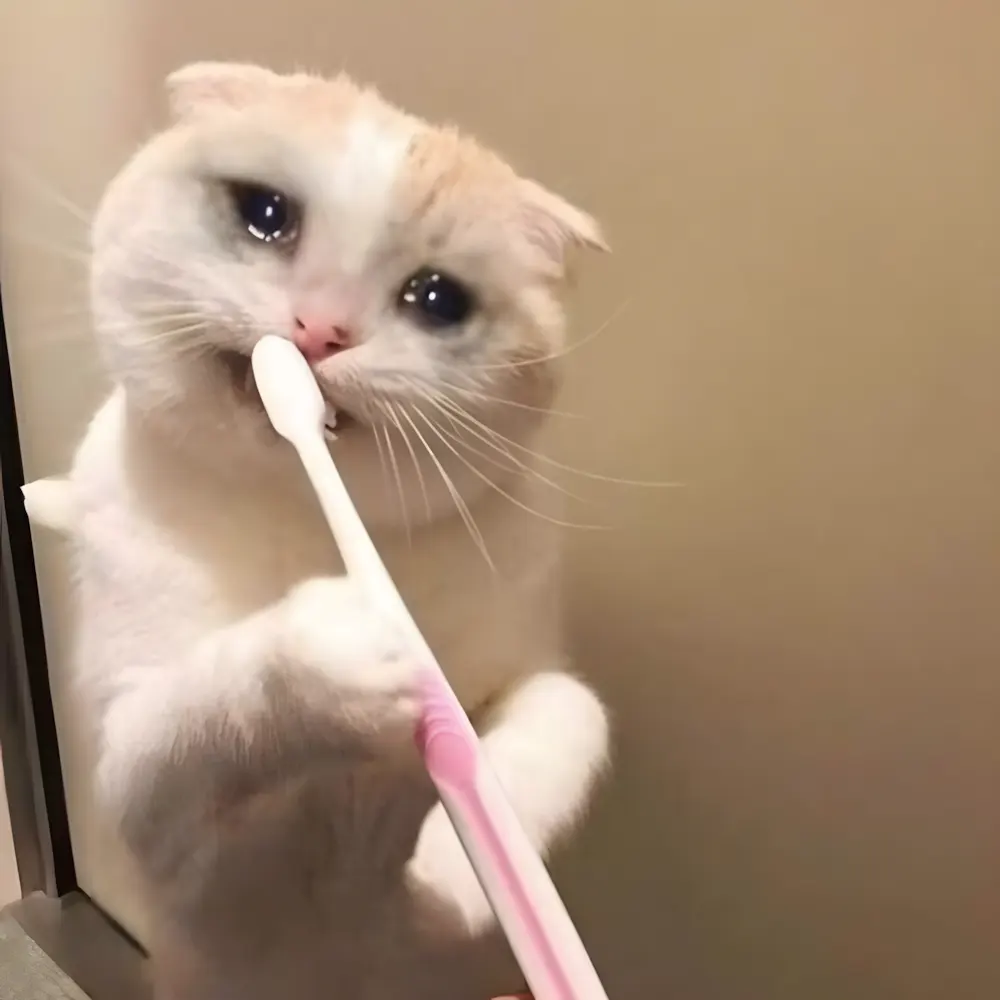 Khóc meme khi đồng hồ báo thức reo vào sáng thứ hai.