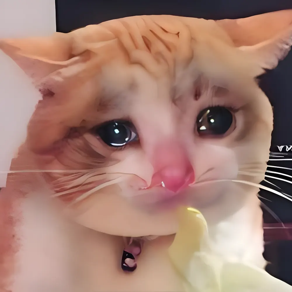Meme cười khóc vì mọi cố gắng đều thành công cốc.