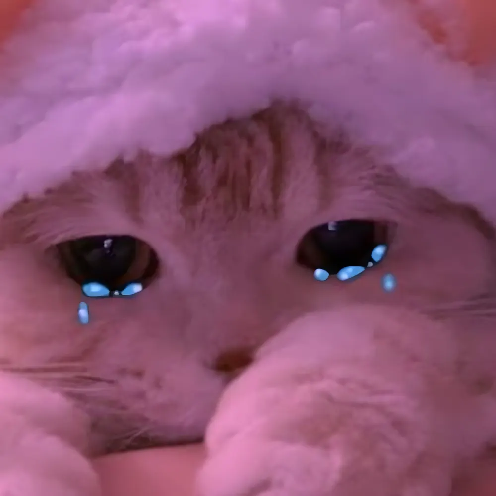 Meme buồn khóc mỗi lần nhìn lại kết quả kiểm tra.