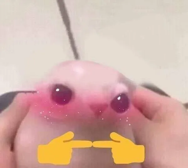 Ảnh vui người yêu troll lại người yêu
