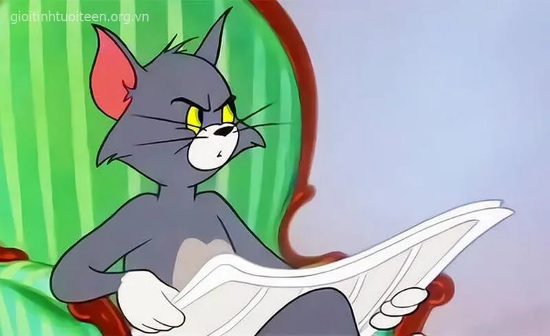 146