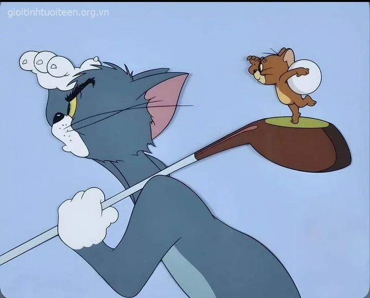 164