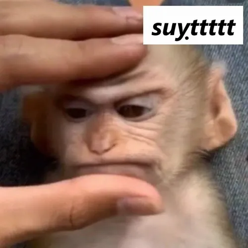 Ảnh troll suỵt nhỏ nhẹ, nét cười đầy tinh tế.